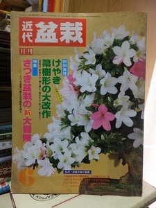 近代盆栽　　　１９８５年６月号　　　　　　　　　近代出版