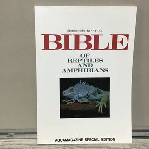 BIBLE 爬中類 両生類 バイブル 豪華本 お⑤ アクアマガジン 別冊 ユカタン半島 ニュージーランド 定価4800円