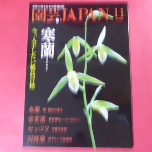 YN4-241219☆園芸JAPAN 2018年11月号　寒蘭 春蘭 セッコク 羽蝶蘭 ※ 自然と野生ラン