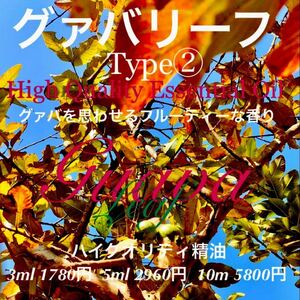 【グァバを思わせる香り】グァバリーフType② 精油5ml(他容量対応可)