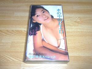 ●即決!!●美品●水の中のピエロ 深野晴美スペシャル VHS●オナッターズ●