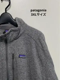 patagonia ハーフジップ　アウター　グレー　3XL