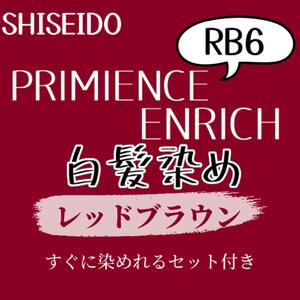 最安値　RB6 資生堂　白髪染め　ショート　メンズ　ヘアカラー剤　すぐに使えるセット付　レッド　ブラウン　グレーカラー　美容室