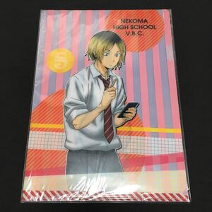[ 未開封品 ] ハイキュー！！ クリアファイル 2枚セット A4 ハイキュー グッズ 古舘春一 音駒高校 黒尾鉄朗 弧爪研磨 制服 学校 日本製 