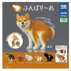 ふんばり～ぬ タカラトミー トイプードル 2個セット