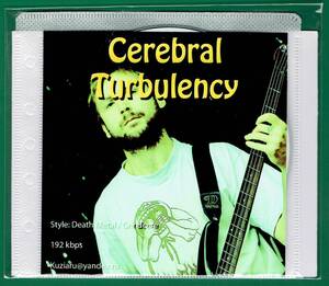 【現品限り・レアー品】CEREBRAL TURBULENCY 大アルバム集 【MP3-CD】 1枚CD◇