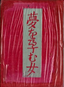 夢を孕む女 山田一夫 白水社