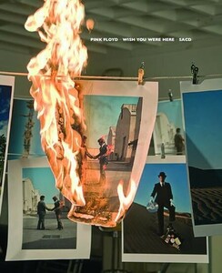 ハイブリッドSACD ピンク・フロイド/PINK FLOYD - 炎～あなたがここにいてほしい WISH YOU WERE HERE Analogue Productions