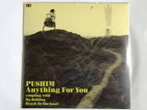 新品未開封 ラヴァーズ・ロック名曲 PUSHIM 「ANYTHING FOR YOU」アナログ盤 RYO the SKYWALKER FIRE BALL Keyco MINMI