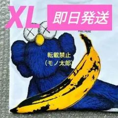 XL ユニクロ KAWS WARHOL カウズ ウォーホル UT Tシャツ ②