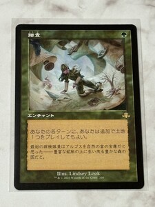 MTG【踏査/Exploration　旧枠 DMR ドミナリアリマスター】日本語版