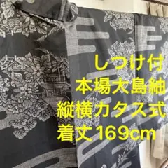 しつけ付　超美品　本場大島紬　　袷　着物　縦横　カタス　169  トールサイズ