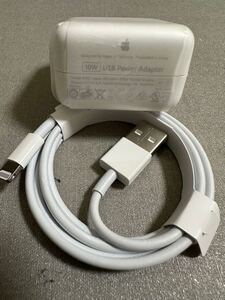 iPad 付属品 10W USB Power Adapterと Lightningケーブル Apple純正品　未使用品