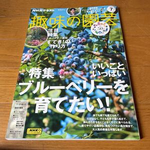 NHKテキスト 趣味の園芸 特集 ブルーベリーを育てたい！　2023年7号 美品