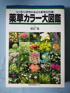 薬草カラー大図鑑 よく効くと評判の身近な薬草625種 伊沢一男/著 主婦の友社 平成4年