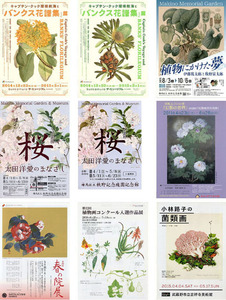 【博物展チラシ】『植物図譜』植物画 ボタニカルアート 植物図譜