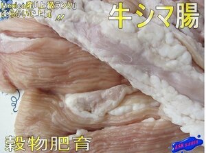 焼肉・BBQ「穀物肥育 シマ腸 7kg」プロ用　メキシコ産　もちろんモツ鍋最高！！