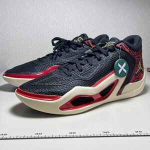 Jordan Tatum 1 PF 28.5cm Nike テイタム　コービー　レブロン　ジョーダン DX6734-001