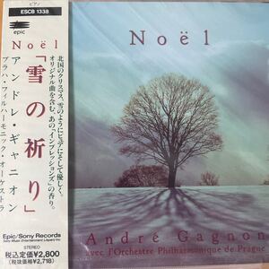 未開封 廃盤 美盤 CD 0708) アンドレ・ギャニオン 雪の祈り 見本盤 廃盤品多数 ニューエイジ ヒーリング イージーリスニング クラシック