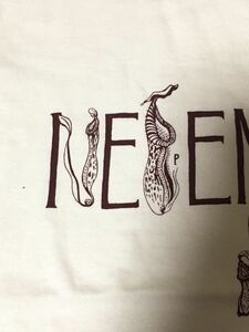 NEPENSUKE ポケット付きTシャツ　Sサイズ aroundaglobe ネペンテス ウツボカズラ　食虫植物　　　靭蔓　nepenthes ナチュラル