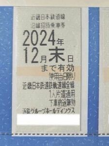 近畿日本鉄道線 沿線招待乗車券 1枚 近鉄株主優待乗車券 株主優待乗車券 乗車券 近鉄 近畿日本鉄道 優待 株主優待