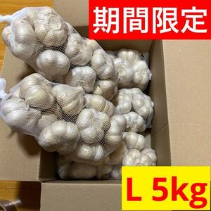 【期間限定】5kg L 青森県産にんにく 福地ホワイト六片 加工 種 お得 漬物 黒ニンニク