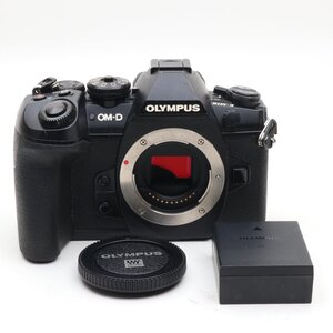 OLYMPUS ミラーレス一眼カメラ OM-D E-M1 MarkII ボディー