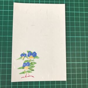 絵はがき　５枚 露草　小