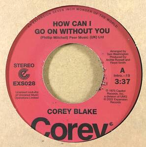 新品 Corey Blake How Can I Go On Without You / Your Love Is Like A Boomerang サンソン 山下達郎 Soul R&B 7インチ 45 EP モダンソウル