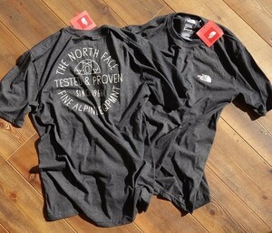 MN-0514-007 入手困難 新品 ノースフェイス THE NORTH FACE ドームテント柄 Tシャツ M ジオドーム