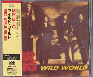 【国内盤】Mr. Big Wild World AMCY-623 帯付き