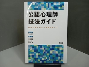 公認心理師技法ガイド 下山晴彦