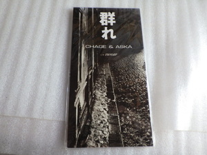 未使用　チャゲ＆飛鳥　群れ　8ｃｍ　シングル　CD　ｚ100201