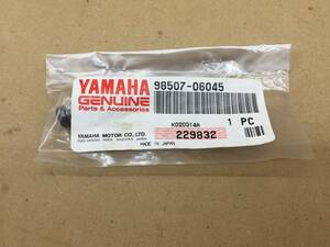 残3 ヤマハ 純正品 TW200E クランクケーススクリュー 98507-06045 セロー225 TW200 YB-1 RZ50 DT50