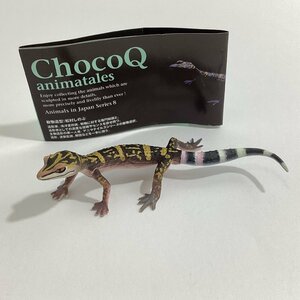 中古品 ChocoQ animatales Animals in Japan Series8 チョコQ 日本の動物 第8弾 194a マダラトカゲモドキ 完全尾 海洋堂 TAKARA