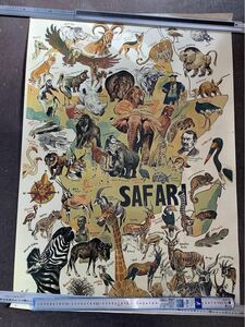 ポスター Safari サファリ 動物図鑑 大判 サイズ縦104.5cm 