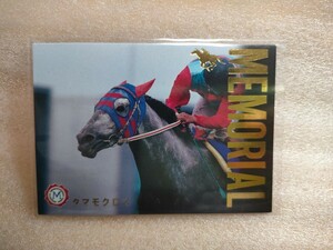 タマモクロス　メモリアルカード　サラブレッドカード　1995　★　競馬　競馬カード　レアカード　メモリアル