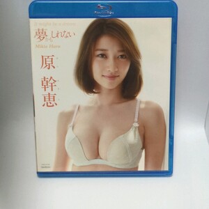 Blu-ray 原幹恵 夢かもしれない 