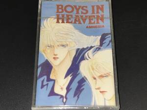 Boys In Heaven - Amnesia 輸入カセットテープ未開封