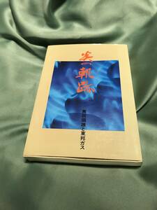 炎の軌跡 薦田國雄と東邦ガス 生駒忠一郎