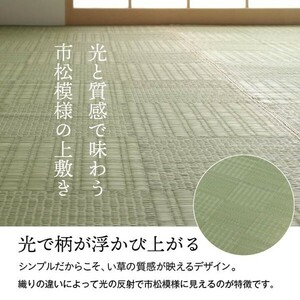 カーペット 純国産 い草 本間6畳(約286×382cm) 上敷き カーペット 格子柄 グラッセ