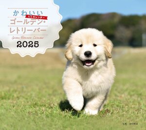 2025年カレンダー かわいいゴールデン・レトリーバー (誠文堂新光社カレンダー)