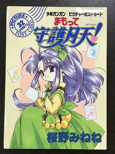 ★【激レア・希少本】まもって守護月天！Ⅰ(1) 少年ガンガン ピクチャーポストカード 第1弾 桜野みねね★初版 未読本 美品 送料180円～