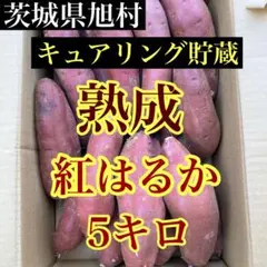 キュアリング貯蔵　茨城県旭村　熟成紅はるか　丸M　箱込み5キロ弱　送料無料