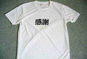 感謝　ドライＴシャツ　漢字　熟語　ＫＡＮＪＩ　　T-shirts　言霊