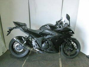 SUZUKI　GSX250R　LC6DN11AZ　黒　WR,Sマフラー　8292km