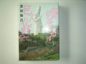 宮田珠巳　「晴れた日は巨大仏を見に」