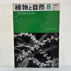 植物と自然 1967年8月号★キンミズヒキ/クズ/食虫植物の栽培/日本のフローラ/沖縄の植物/植物形態学の新しい動向/ニュー・サイエンス社