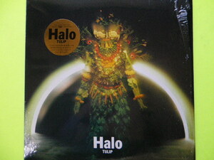 LP/チューリップ＜Halo＞　☆５点以上まとめて（送料0円）無料☆