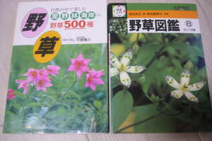 ●野草図鑑⑧はこべの巻＆野草500種　古本